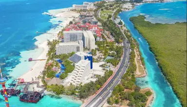 Grand Oasis Palm
