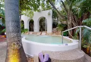 Grand Oasis Palm