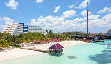 Grand Oasis Palm