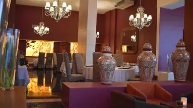 Grand Oasis Palm