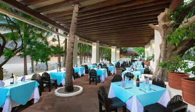 Grand Oasis Palm