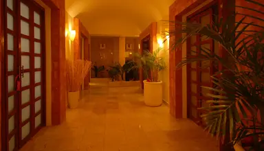 Grand Oasis Palm