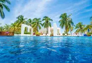 Grand Oasis Palm