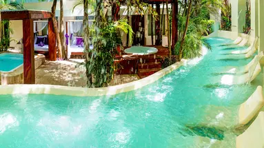 Grand Oasis Palm