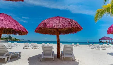 Grand Oasis Palm