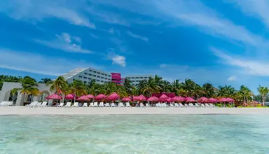 Grand Oasis Palm