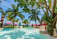 Grand Oasis Palm