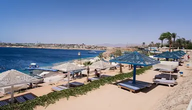 Grand Oasis Resort