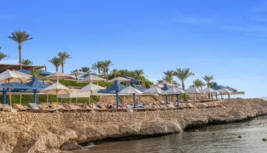 Grand Oasis Resort