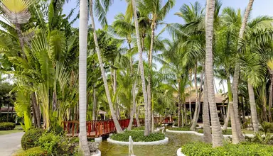 Grand Palladium Bavaro Resort & Spa