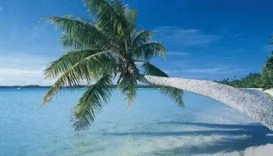 Grand Palladium Jamaica Resort & Spa