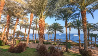 Grand Rotana Resort & Spa