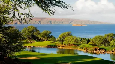 Grand Wailea Resort