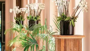 Grecotel Cape Sounio