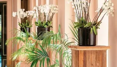 Grecotel Cape Sounio