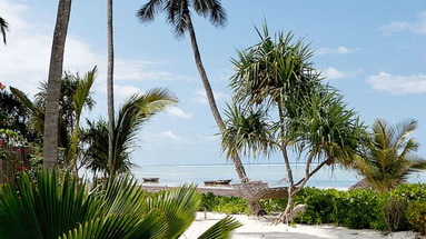 Green and Blue Zanzibar Ocean Lodge