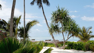 Green and Blue Zanzibar Ocean Lodge