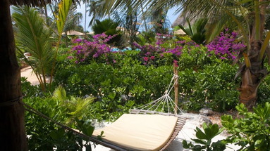 Green and Blue Zanzibar Ocean Lodge