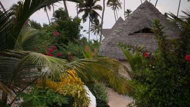 Green and Blue Zanzibar Ocean Lodge