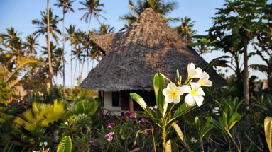 Green and Blue Zanzibar Ocean Lodge