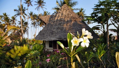 Green and Blue Zanzibar Ocean Lodge