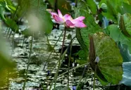 Green Bay Phu Quoc Resort