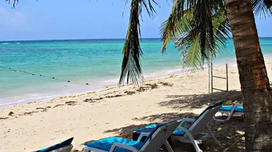 Green Coast Beach
