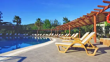 Green Forest Holiday Village