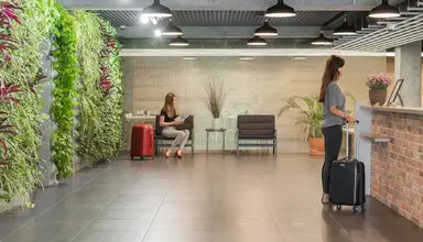 Green Loft