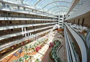 Green Nature Diamond