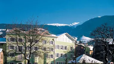 Gruner Baum (Brixen)