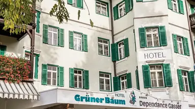 Gruner Baum (Brixen)