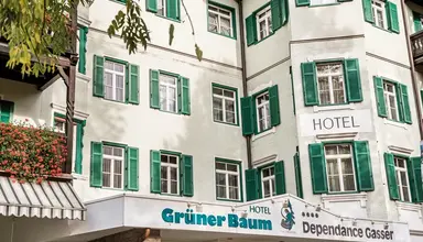 Gruner Baum (Brixen)