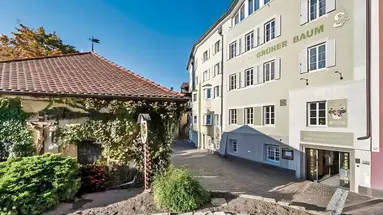 Gruner Baum (Brixen)