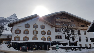 Gruner Baum