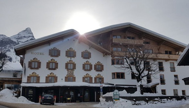 Gruner Baum
