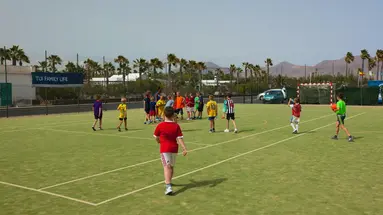 Grupotel Flamingo Beach 