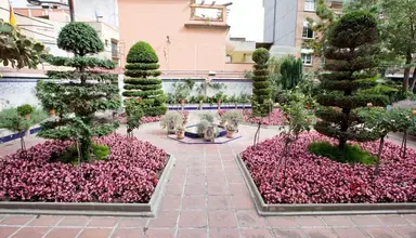 Guitart Rosa