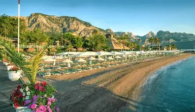 Gypsophila Club Marine