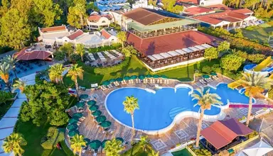 Gypsophila Club Marine