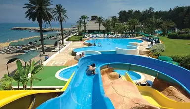 Gypsophila Club Marine