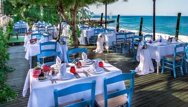 Gypsophila Club Marine