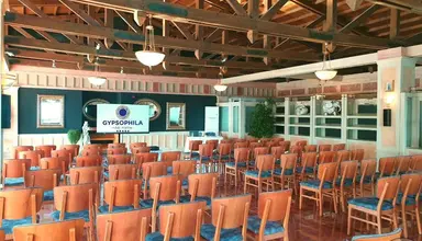 Gypsophila Club Marine
