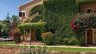H10 Punta Negra