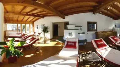 Habicht