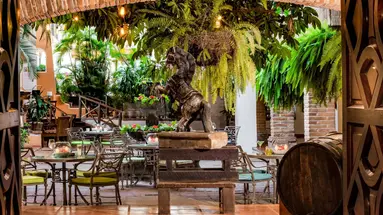 Hacienda Buenaventura Spa & Beach Club