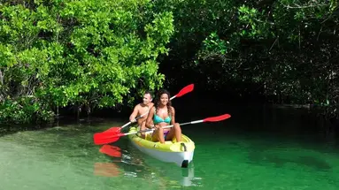 Hacienda Tres Rios Resort Spa & Nature Park