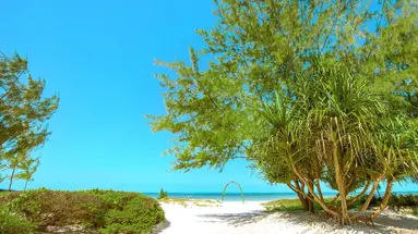 Hakuna Majiwe Beach Lodge