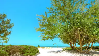 Hakuna Majiwe Beach Lodge