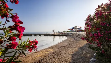 Haliaetum / Mirta